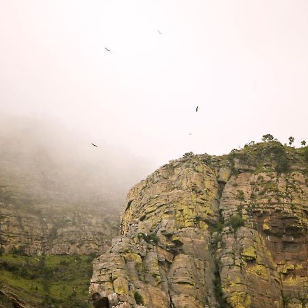 Cape Vulture Conservancy Hoedspruit Bagian luar foto