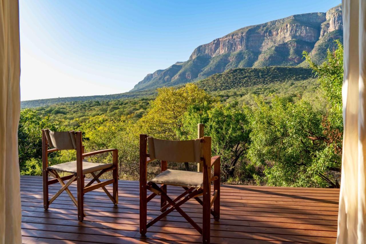 Cape Vulture Conservancy Hoedspruit Bagian luar foto