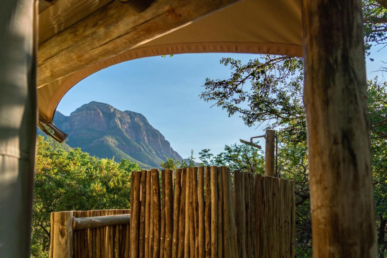 Cape Vulture Conservancy Hoedspruit Bagian luar foto